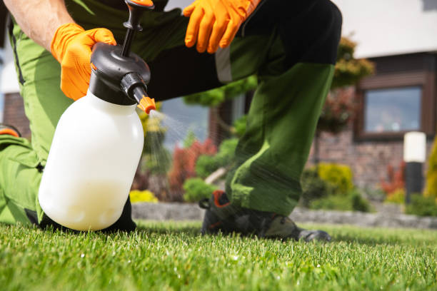 Best Local Pest Control Services  in Cumberland Hill, RI