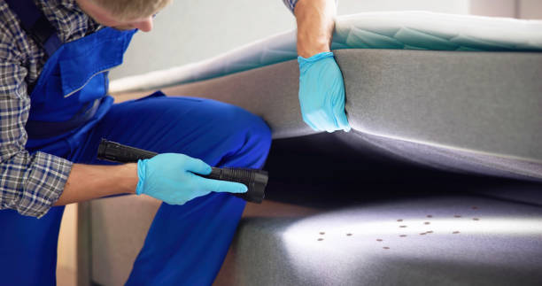 Best Affordable Pest Control Services  in Cumberland Hill, RI